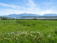 Bei Hochstätt am Chiemsee mit Chiemgauer Alpen